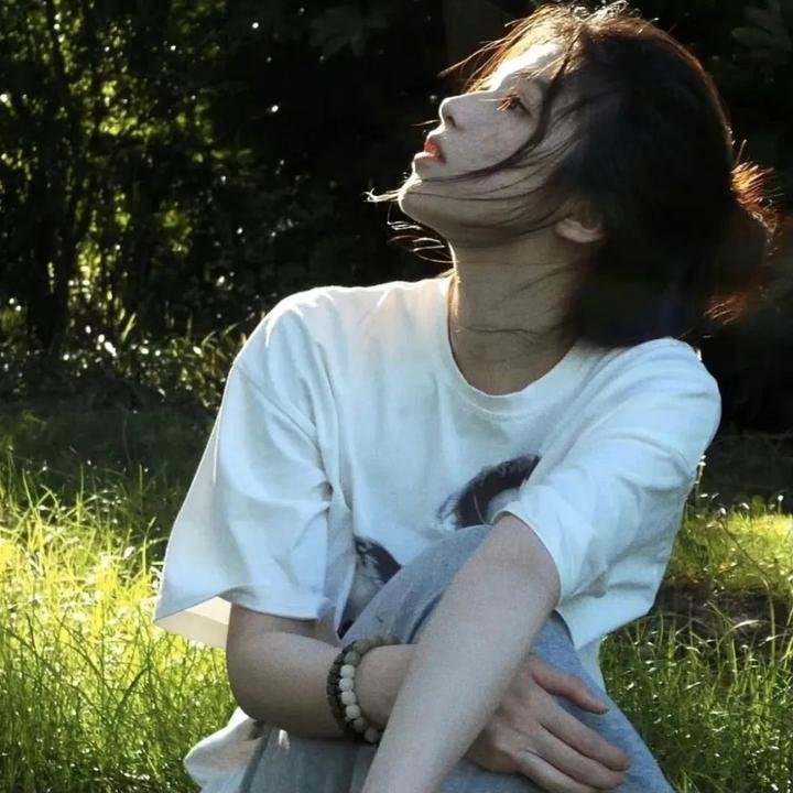 大白鲨2